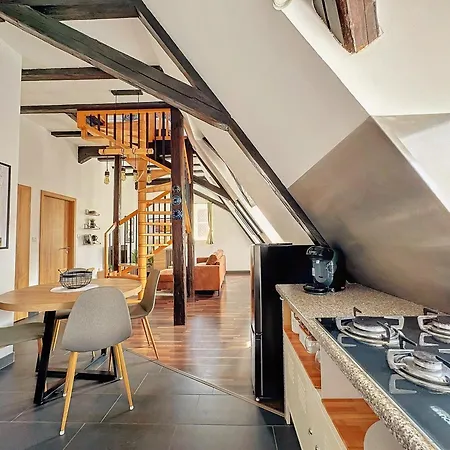 Loft Bariga Apartament Bergheim