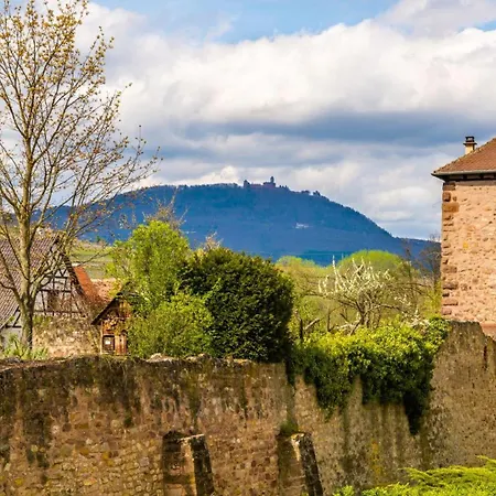 Apartament Loft Bariga Bergheim