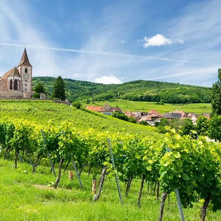 Loft Bariga Apartament *